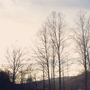 Meet your Posher, Ashlyn